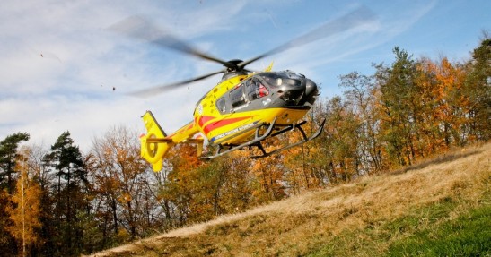 Rajd Żubrów 2012